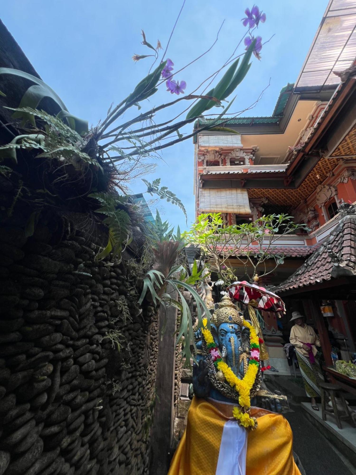 Banana Home Stay Ubud Ngoại thất bức ảnh